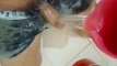 Video pregled