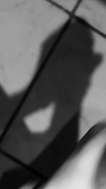In the shadows of a magnificent cock