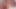 Glamorous Sexy Transbabe Tori Mayes hot 69 dick sucking