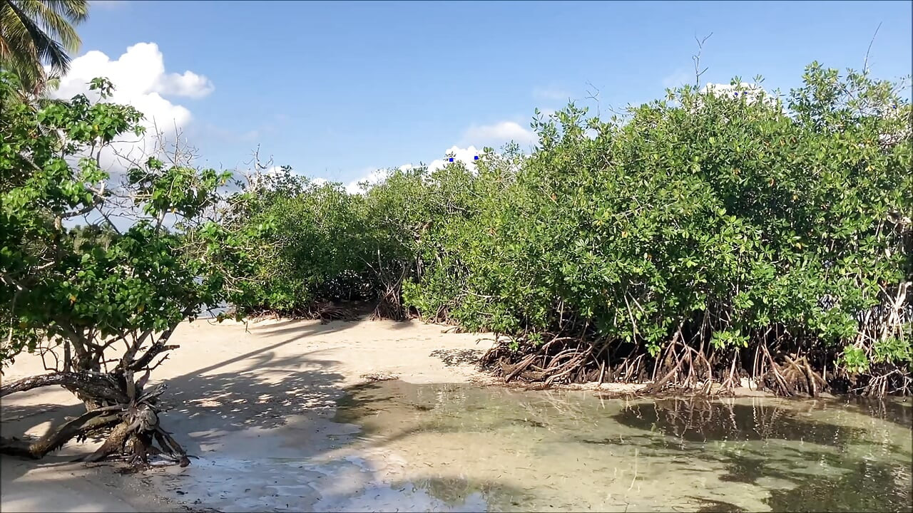 ملذات الفقاعات 001