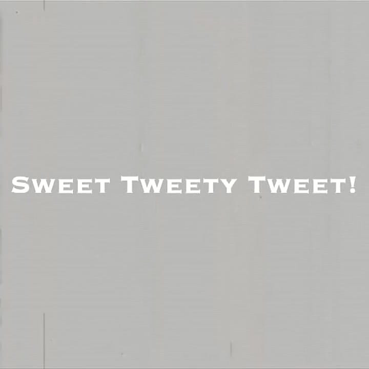 Sweet Tweety Tweet!
