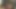 Fantastic cum