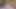 الملاك الآسيوي 25401