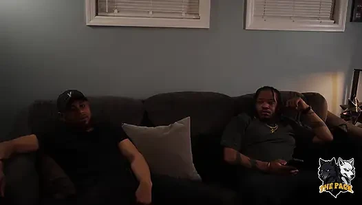 Das pack gegen sunny bunny