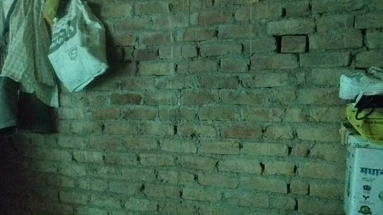 Full punjabi xxx bhabhi