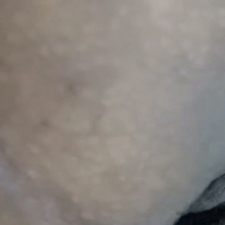 Doggy Girl