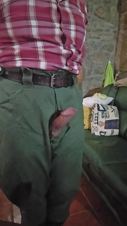 Wanking in and out in my jodhpurs