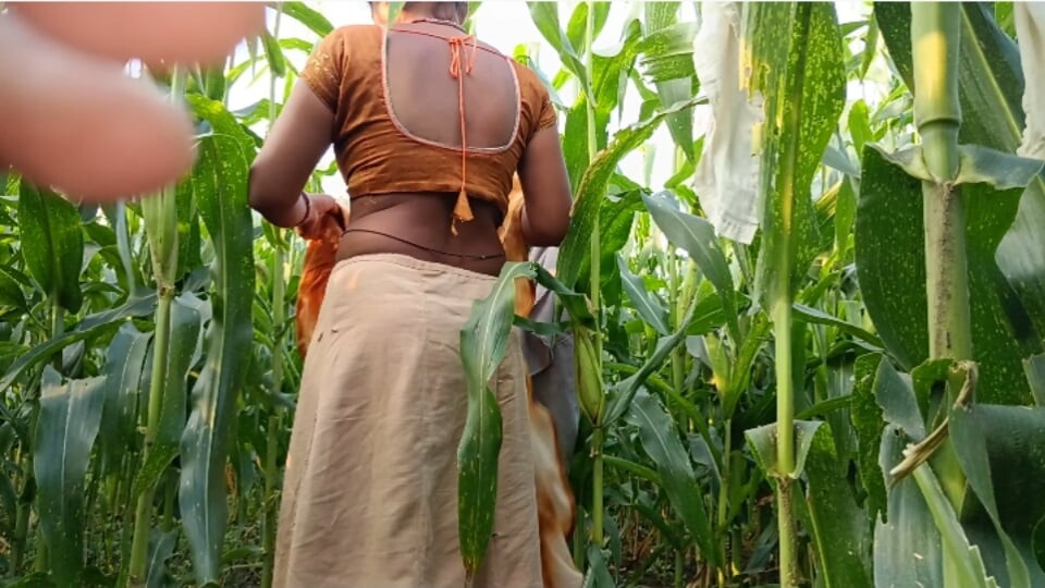 Sauteli Bhai ki gharwali ko makki ke khet mein pure kapde khol nangi karke doggy Banakar devar chod raha hai devar apni bhabhi ko nangi kark