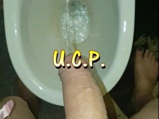 Ucp