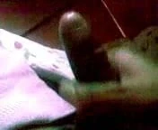 my cock