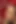 Natalia anal eğitim dersi sınıfı