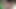 shaved oiled uncut dick swinging (slowmotion) 819