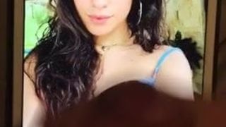 Plastering Camila Cabello in my cum