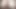 Arse