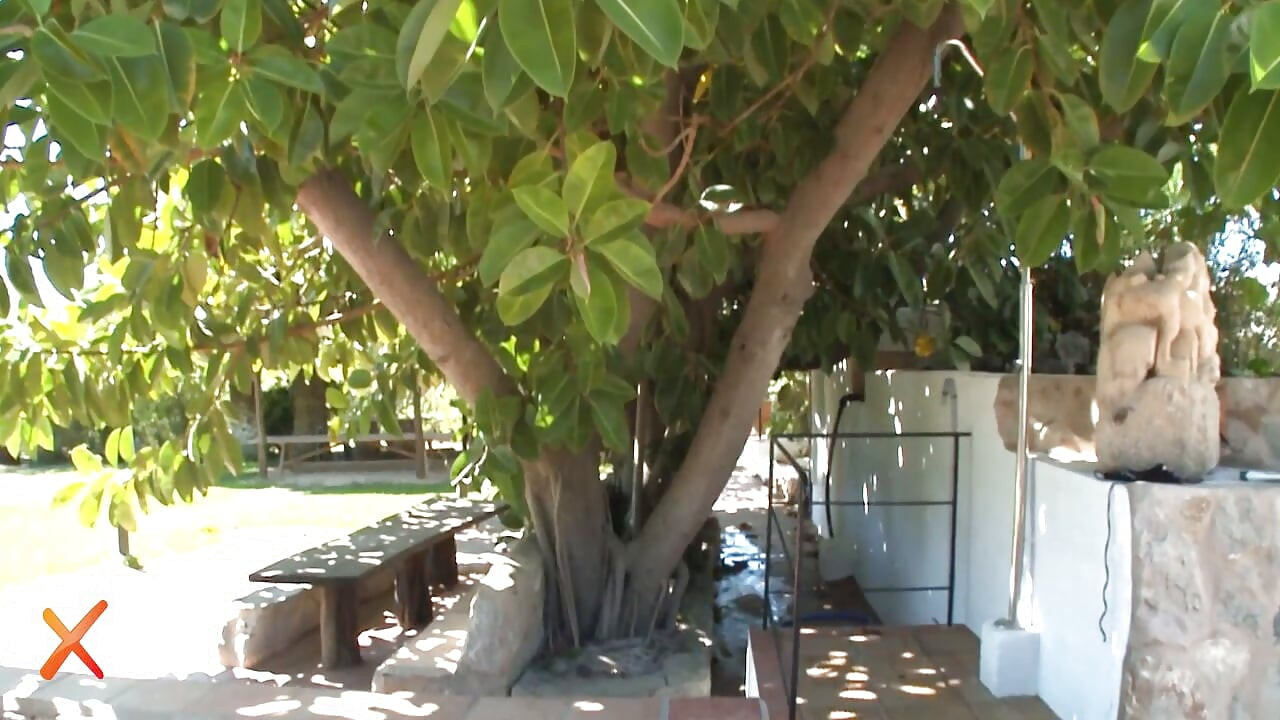 ליקוק כוס: דגשים מהנים