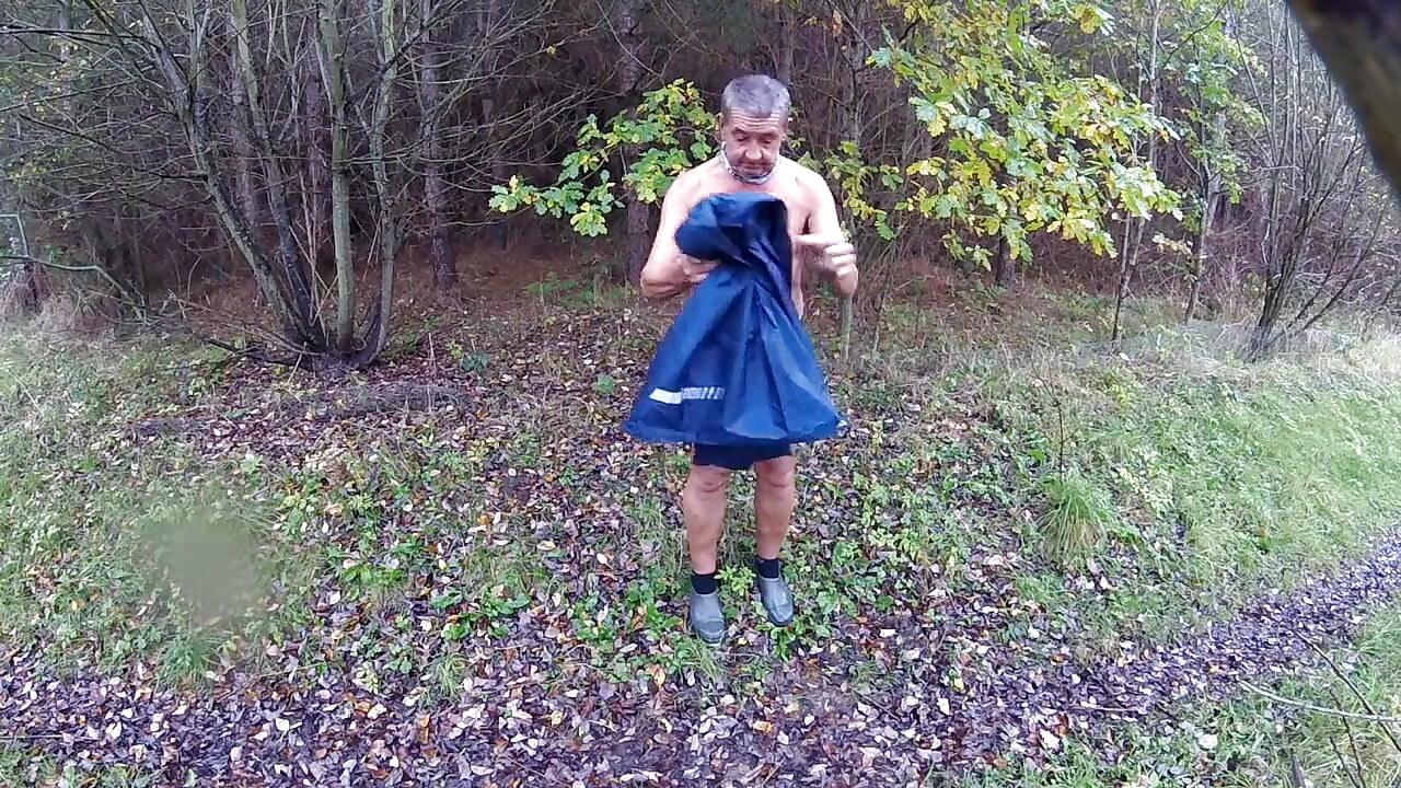 Mokar dan u šumi