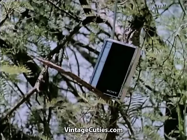 Bouncing Tits in Dancing Girls Compilation (1960s Vintage)
