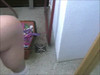 Pregled videozapisa