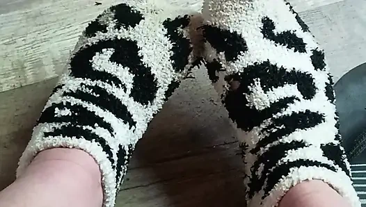 Quit stealing my socks jack