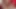 Four busty trannies make messy cumshots all over their