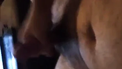 Büyük döl