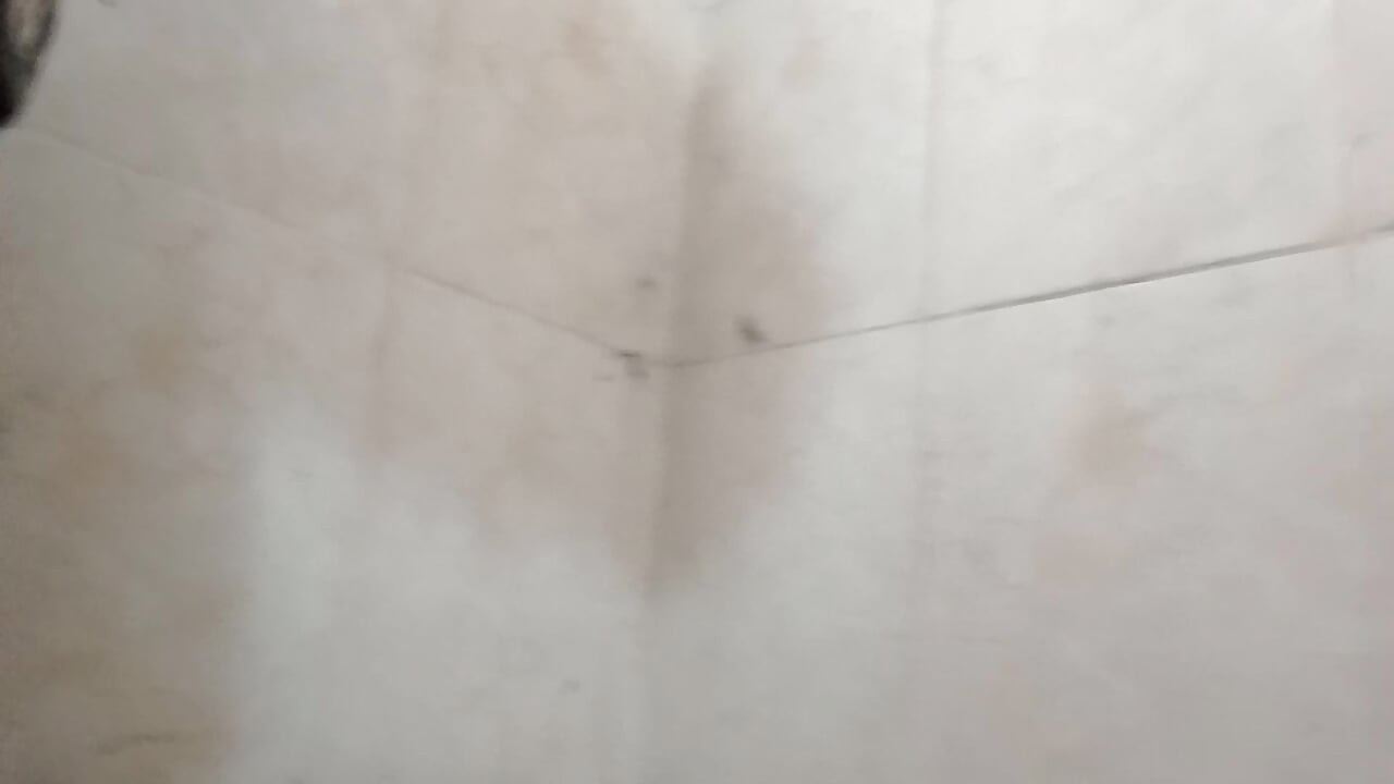 desi hotman 3