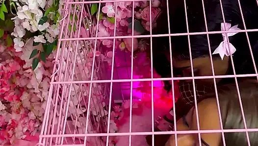 İtaatkar tatlı poppy ve lana memnun etmeyi ve işemeyi seviyor - dikey