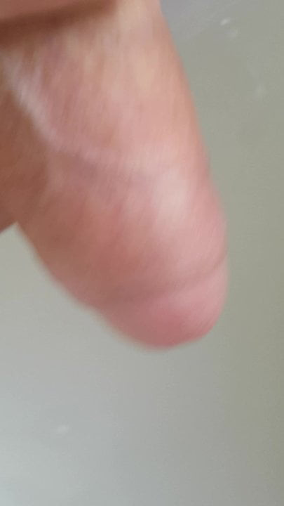 My Cock the 2nd