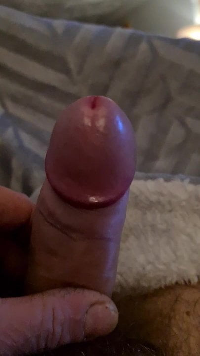 Cock