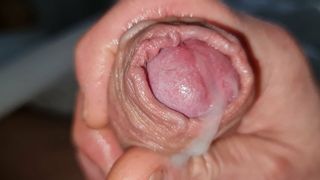 Horny Morning Fun Cumshot Close-Up Morgenlatte abgesprizt