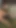 Gypsy Jenna Sativa tells your fortune through masturbation