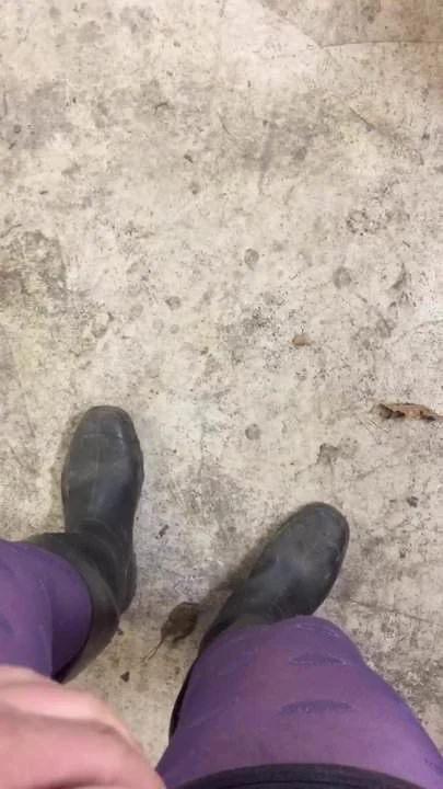 Stinky Wellington Boots and pantyhose masturbation