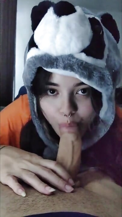 Lupul alb Ofc - fată drăguță lacomă panda flămândă după pulă