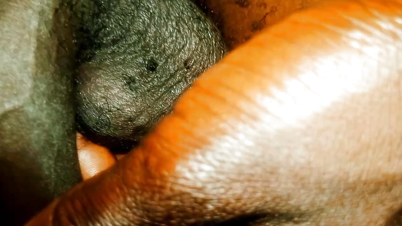 My very big Dick 567