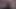 الملاك الآسيوي 25896