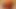 Amateur (47)