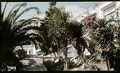 Ein Lasterhafter Sommer (1979)