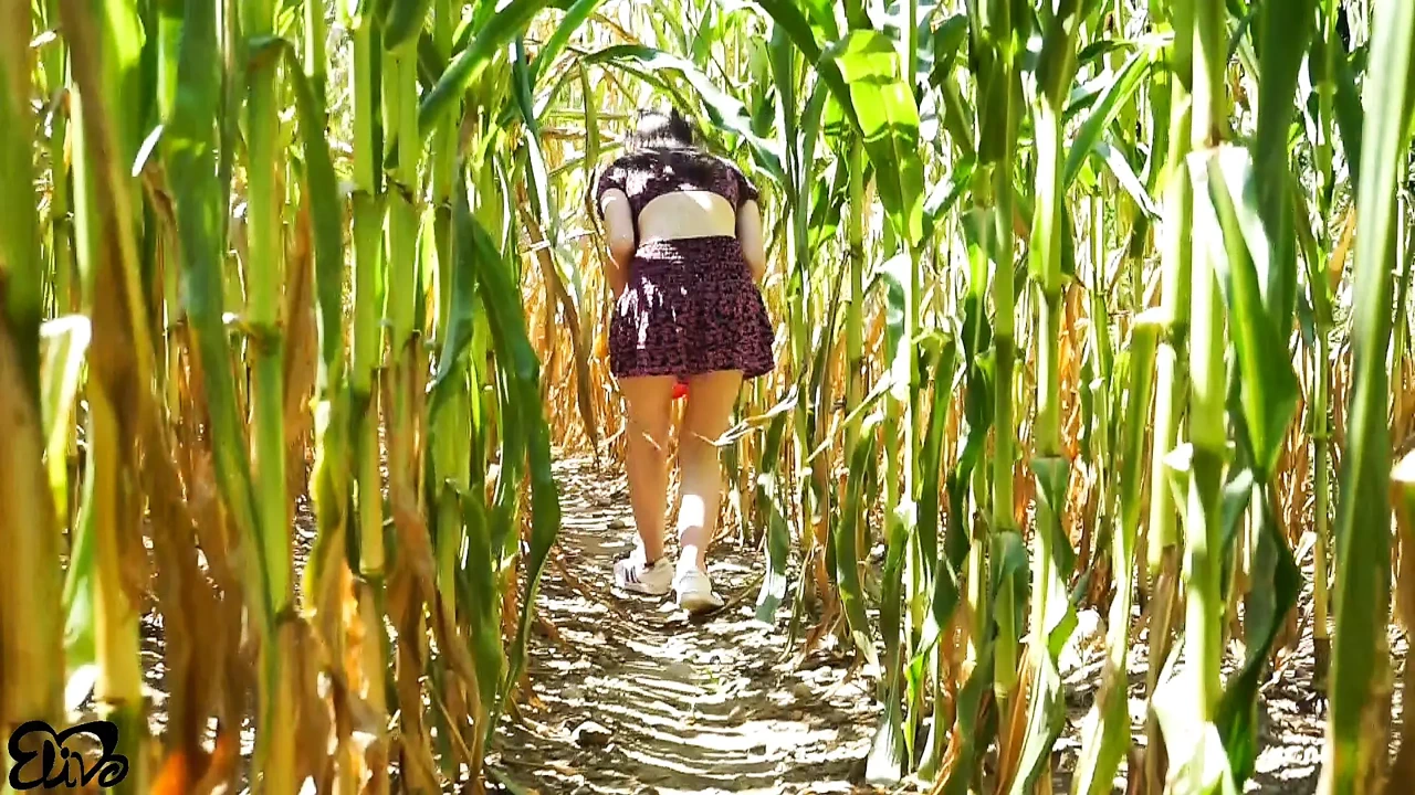 Horny BLOWJOB in a corn field