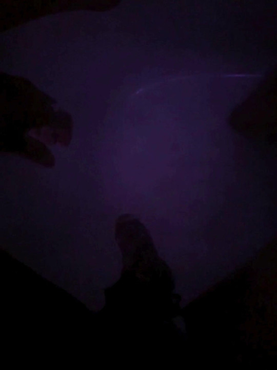 In the bathtub