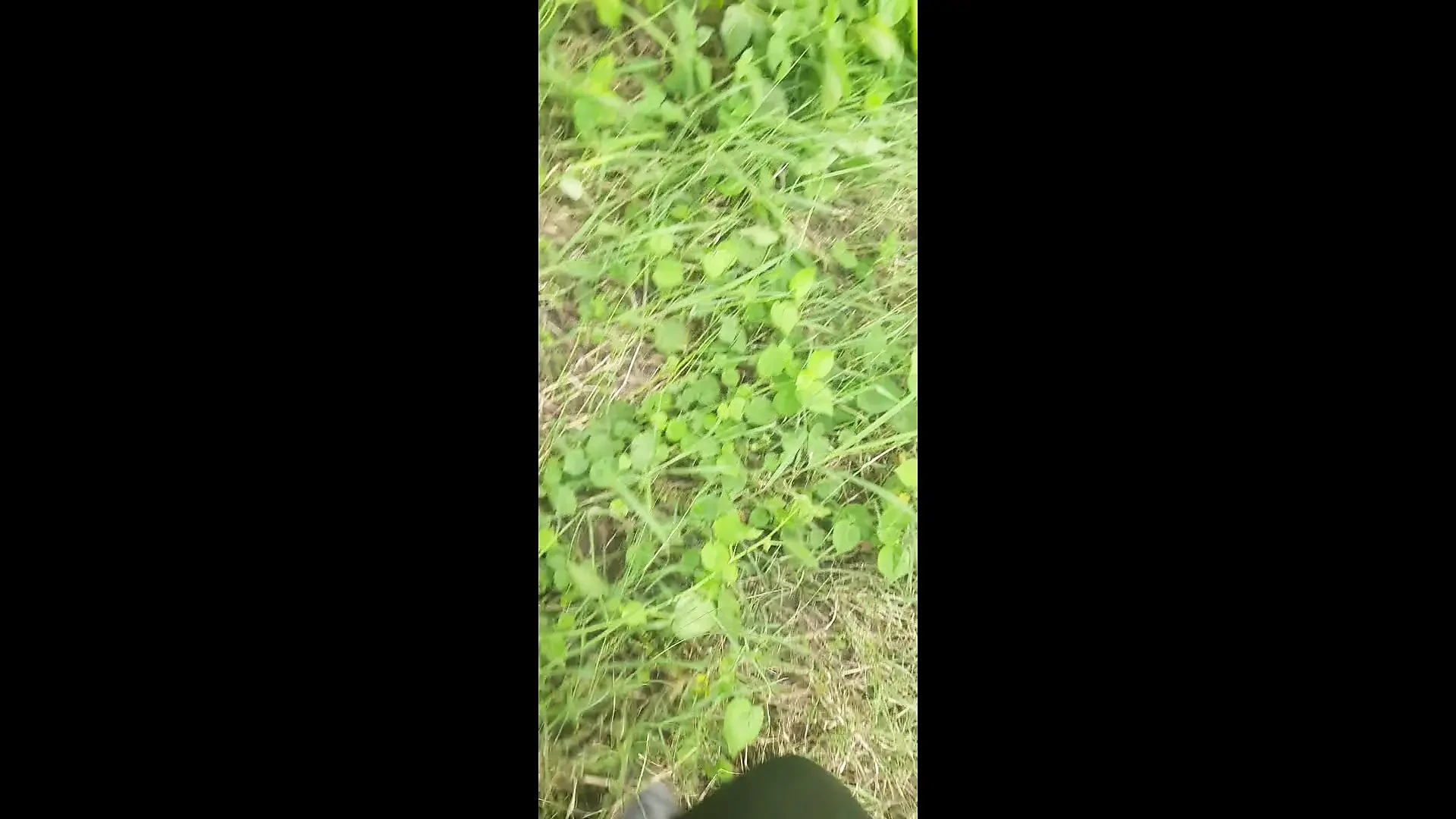 Adik ipar desi kampung mengintip abang ipar untuk meletakkan pantat gemuknya di hutan terbuka di ladang