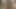 異人種間のぽっちゃり系レズビアンはお互いの猫を楽しんでいます