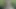 Tests von echtem lebenden mannequin
