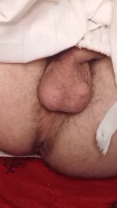 Desi ready to breed yummy sissy boy ass Pakistani pathan | Clip 1