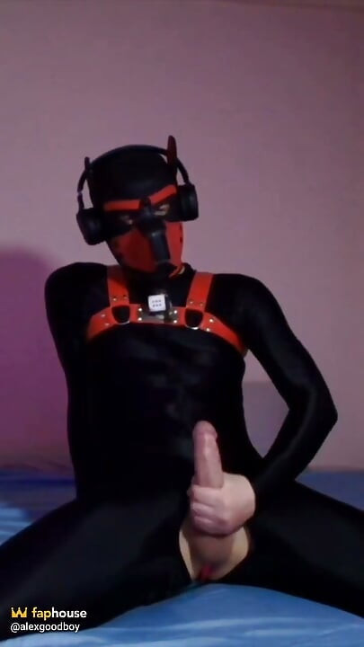 Remote Controlled Puppy Whimpers While Jerking off