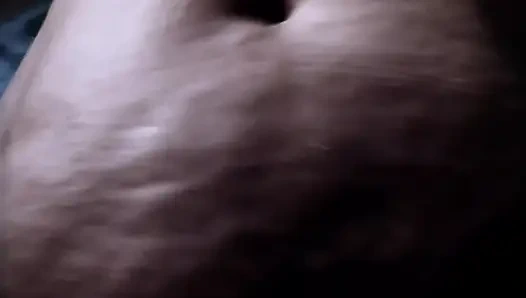 жиробасина великаншка Shyskiesxx