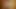 German Cock cum on pics