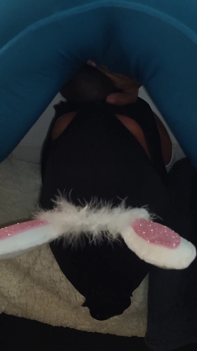 Season Three - Easter Cum Early