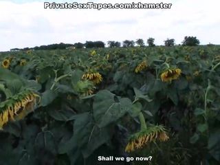 Verdadera pasión de la pareja de adolescentes en el campo de los girasoles.