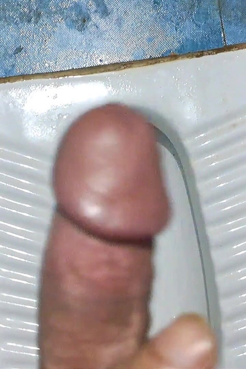 Anal em pêlo em sala de aula