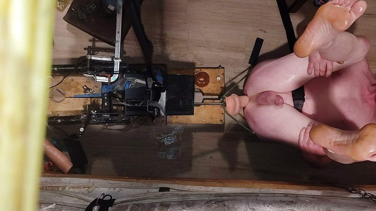 Lost bet with AI wife
